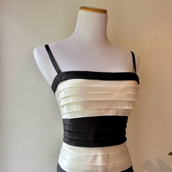 BCBG MaxAzria evening gown, size 4 - Picture 3 of 6